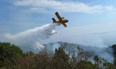GREECE to Send Air Assistance to Fight Wildfires in ALBANIA | CIHEAM Press Review | Scoop.it