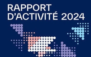 L'Enssib publie son rapport d'activité 2024 | Bulletin des bibliothèques de France | La revue de presse «Livre et numérique» | Scoop.it