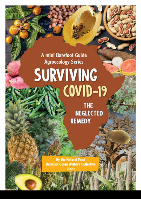 Guide : Surviving Covid-19, The neglected remedy - AFSA via Inter-R&eacute;seaux | Agroecologie et Syst&egrave;mes Alimentaires Durables | Scoop.it