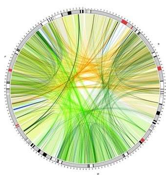 Sample Images Created with Circos // CIRCOS Circular Genome Data Visualization | A New Society, a new education! | Scoop.it