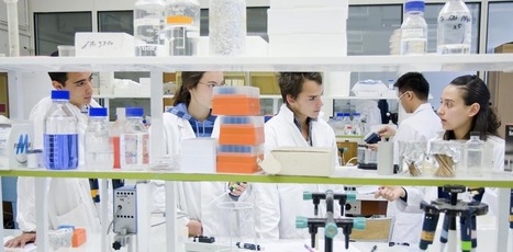 Les « invisibles » du travail scientifique | EntomoScience | Scoop.it