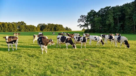 Qu&rsquo;est ce que le projet Life carbon farming&nbsp;? | Elevage et environnement | Scoop.it