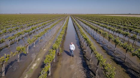 One key way soggy California could save water for the next rainless days | Coastal Restoration | Scoop.it