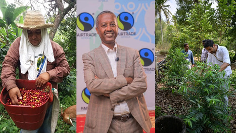 Meet the struggling COFFEE FARMERS whose harvests are under threat from fossil-fuelled warming | CIHEAM Press Review | Scoop.it