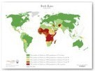 Woman Statistic Project - Maps | GTAV AC:G Y10 - Geographies of human wellbeing | Scoop.it