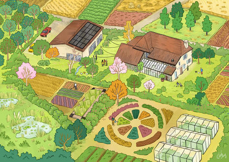 Renouveau paysan, pour redonner vie aux fermes - ReNouveau Paysan | Pour innover en agriculture | Scoop.it