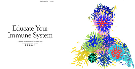 Educate Your Immune System: Our bodies are confused by this 21st-century world | Immunology for University Students | Scoop.it