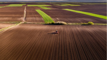 L&rsquo;Acad&eacute;mie d&rsquo;agriculture de France plaide pour pr&eacute;server l&rsquo;innovation ouverte dans le secteur des semences | ITERG - Veille sectorielle | Scoop.it