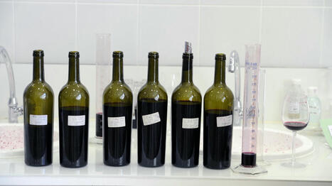 ENQUETE FRANCEINFO. Additifs, pesticides... Le vin que vous buvez ne contient pas que du raisin : découvrez le résultat de nos analyses | Toxique, soyons vigilant ! | Scoop.it