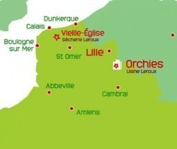 La chicorée à café… | Chicorée | Scoop.it