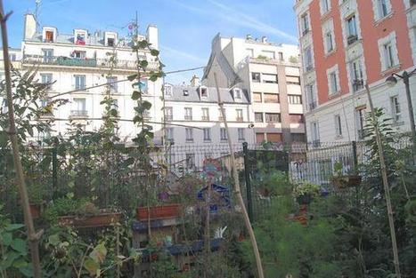 Les jardins partagés à Paris | HORTICULTURE | Scoop.it