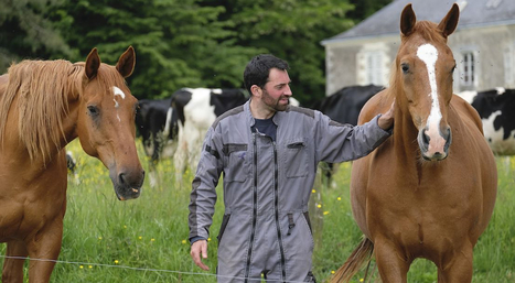 Le bien-être et la protection des chevaux | Ministère de l'Agriculture et de l'Alimentation | SCIENCES DE L' ANIMAL | Scoop.it