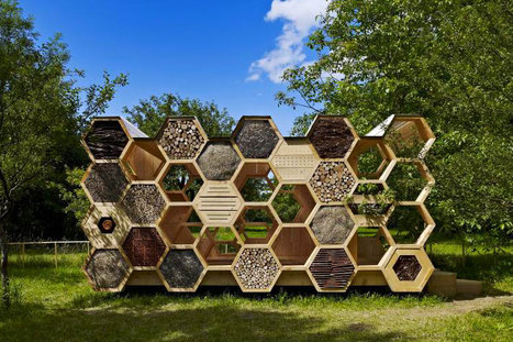 AtelierD's Giant Honeycomb Bee Hotel Attracts Pollinators & Humans Alike | Insect Archive | Scoop.it