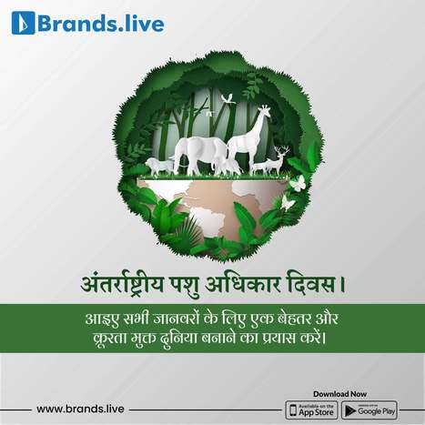 यहां जानिए अंतर्राष्ट्रीय पशु अधिकार दिवस क्यों महत्वपूर्ण है | Brands.live | Scoop.it