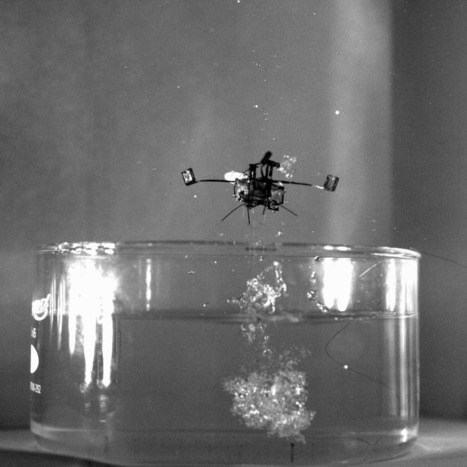 Scientists Made Robotic Bees to One Day Study The Ocean | Biomimicry | Scoop.it
