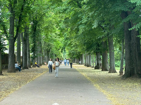 Historique et sportive, cette commune de Lorraine est une "ville de rêve" selon ce classement 2025 | Nancy, Lorraine | Scoop.it