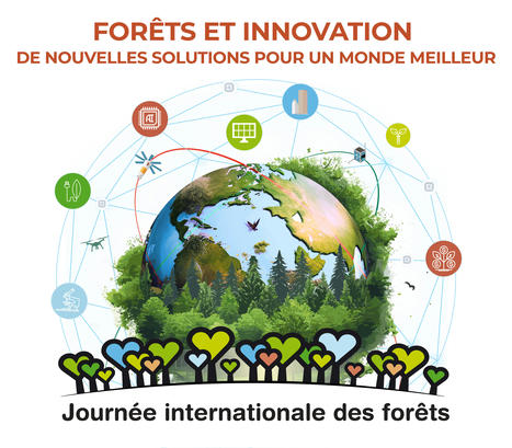 Deux outils LiDAR THEIA pour suivre les for&ecirc;ts &ndash; Theia | T&eacute;l&eacute;d&eacute;tection veille IST INRAE & AgroParisTech | Scoop.it