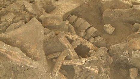 Un squelette de mammouth découvert près de Paris | 21st Century Innovative Technologies and Developments as also discoveries, curiosity ( insolite)... | Scoop.it
