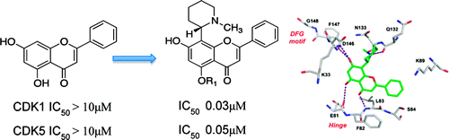 Synthesis, Biological Evaluation, and Molecular Modeling of Natural and Unnatural Flavonoidal Alkaloids, Inhibitors of Kinases | Natural Products Chemistry Breaking News | Scoop.it