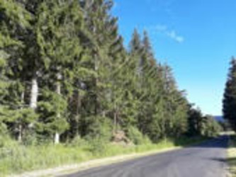 L'assurance des forêts : un nouveau groupe de travail d'élus au sein de la Fédération - FNCOFOR | Politiques publiques et société | Scoop.it