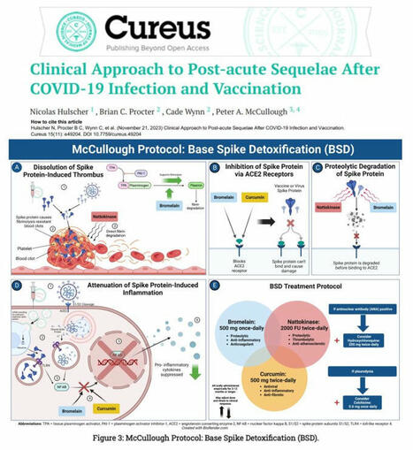 Peer reviewed evidence indicates that Base Spike Detoxification… | McCullough Foundation | Hésitations Vaccinales: Observatoire HESIVAXs | Scoop.it