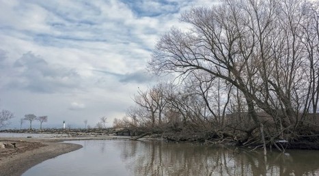 A morning walk with the Nikon 1 J4 - Thomas Stirr Photography | Mirrorless Cameras | Scoop.it