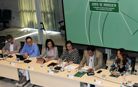 Constituido el Comité Director del Plan Estratégico para la Mejora de la competitividad del sector andaluz | Evaluación de Políticas Públicas - Actualidad y noticias | Scoop.it