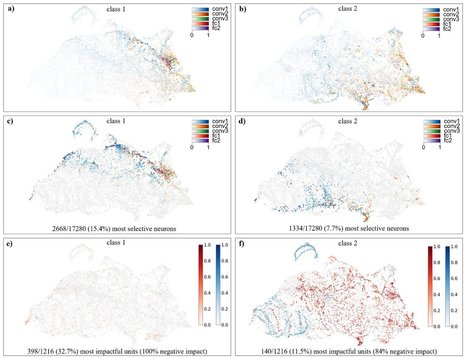 Investigating the role of different neurons in artificial neural networks | artificial intelligence for students | Scoop.it