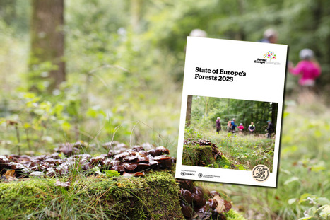 The State of Europe&rsquo;s FORESTS 2025 report is now available! | CIHEAM Press Review | Scoop.it