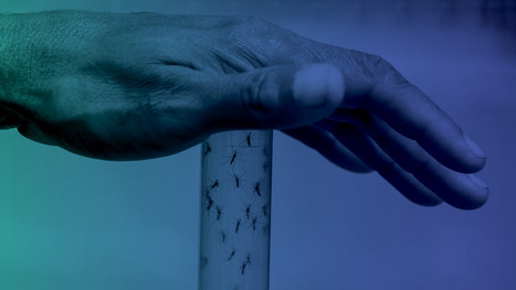 AI for social good: Four ways to make the most of tech | Ethical Leadership and Governance | Scoop.it