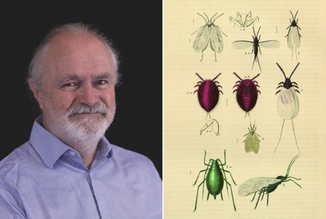 Les parasites, moteur de l'évolution : entretien avec Jean-Lou Justine, parasitologue | EntomoScience | Scoop.it