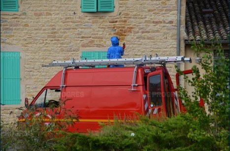 Loire. Destruction des nids de guêpes : dorénavant il faudra payer les pompiers 150 euros | Variétés entomologiques | Scoop.it