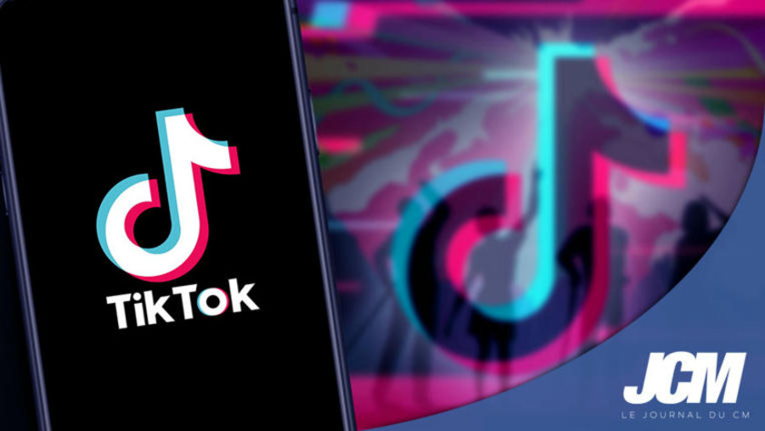 Comment se démarquer sur TikTok ? | Le Journal du Community Manager | Scoop.it