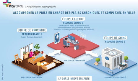 Plaies chroniques et/ou complexes: une vingtaine de patients inclus dans le projet Cica'Corse | GRIEPS | Scoop.it