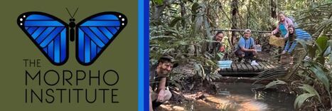 November 2025 | RAINFOREST EXPLORER | Scoop.it