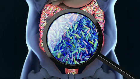 The Skinny on What We Know About the Microbiome and Obesity | Healthcare: reloaded... | Scoop.it