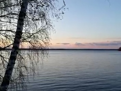 Vastarannalta kuului juhlinnan äänet mökille. | 1Uutiset - Lukemisen tähden | Scoop.it