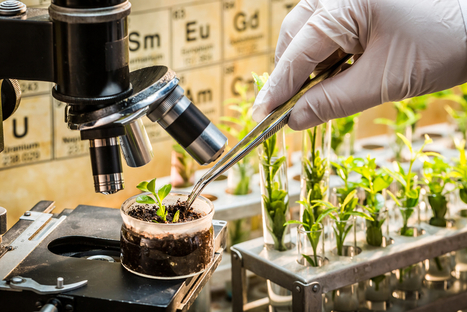 New plant-breeding techniques are nothing like &lsquo;Frankenstein&rsquo; GMOs | DURABILITES | Scoop.it