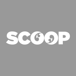 China interest in NZ forest and timber processing investment | Timberland Investment | Scoop.it