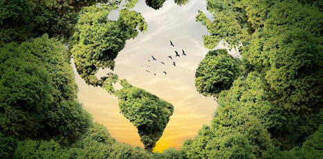 Pourquoi l’écologie est d’abord une science | ECOLOGIE - ENVIRONNEMENT | Scoop.it