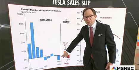 'Tesla tanking': MSNBC financial expert delivers brutal news to Musk investors - Raw Story | Backstabber Watch | Scoop.it