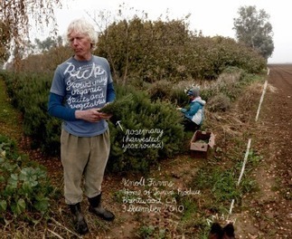 Lexicon of Sustainability: Biodiversity vs. monoculture | BIODIVERSITY IS LIFE  &ndash; | Scoop.it