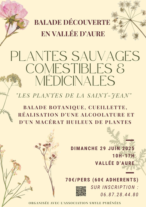 Sortie botanique en vallée d'Aure le 29 juin | Vallées d'Aure & Louron - Pyrénées | Scoop.it