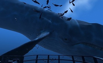 theBlu: Whale Encounter | Remotely Piloted Systems | Scoop.it