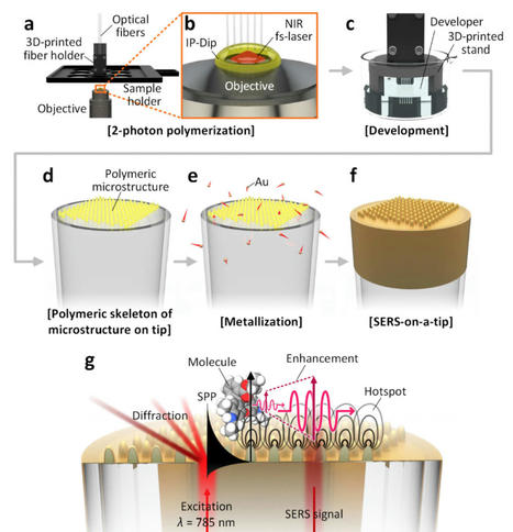 3D-printed Sensor on Fibre-Optic Probes for Rapid Bacteria Detection | In-Vitro Diagnostic | Scoop.it