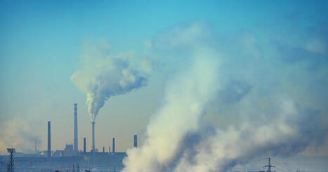 Investor briefing - Investor sustainability disclosure frameworks and regulations | Policy report | Sustainable Procurement News | Scoop.it