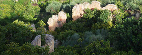 Agriculture: FAO adds two Tunisian sites to GIAHS list - Environment | CIHEAM Press Review | Scoop.it