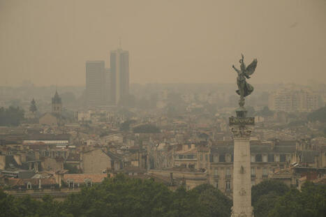 Toux, crises d&rsquo;asthme, irritations de la peau&nbsp;: quel sont les risques des fum&eacute;es des incendies&nbsp;? | Toxique, soyons vigilant ! | Scoop.it