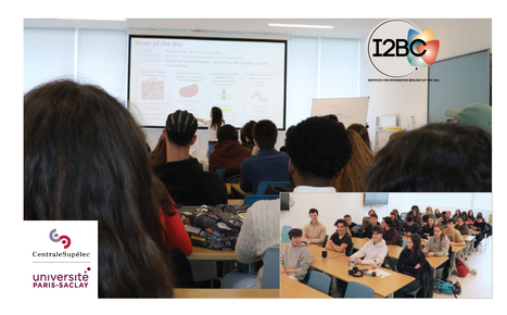 Students from CentraleSupélec visit I2BC groups of the Cellular Biology department | I2BC Paris-Saclay | Scoop.it
