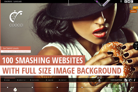 100 Smashing Websites with Full Size Image Background | Best | Scoop.it